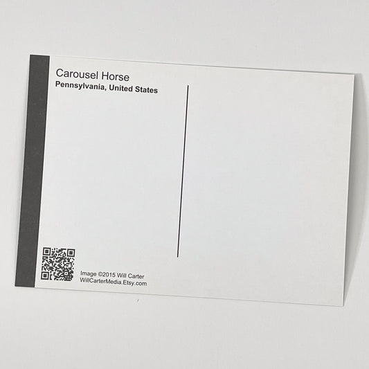 Allentown Carousel Horse Postcard