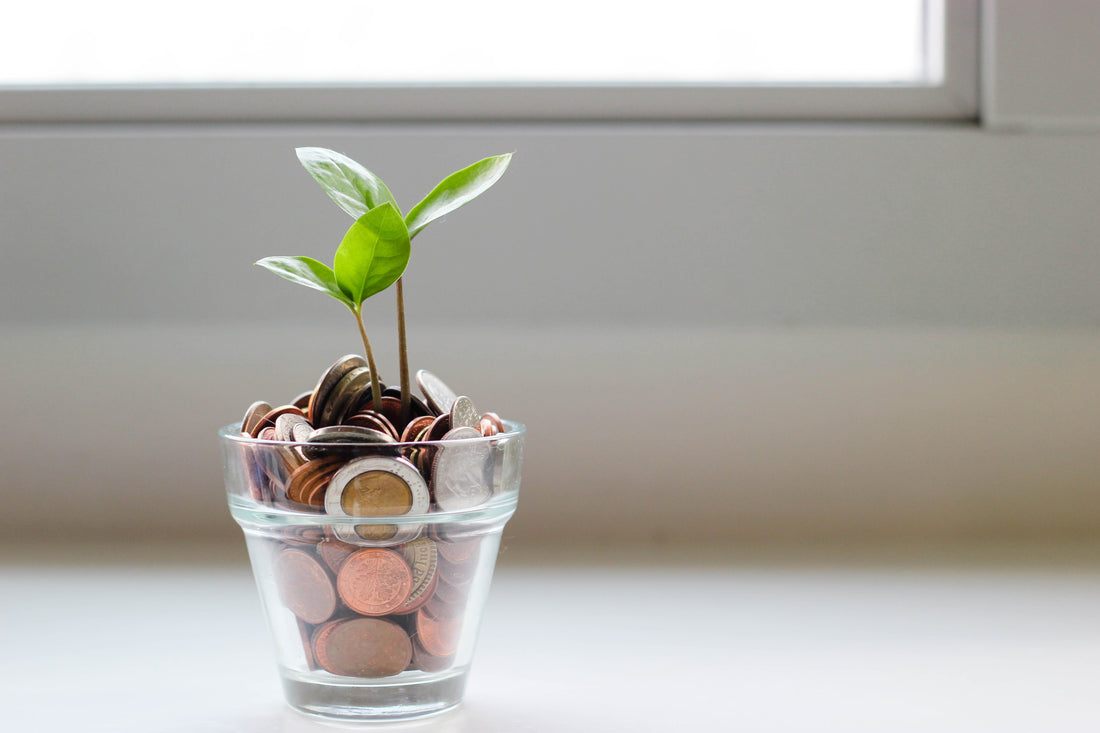 A small plant growing out of a cup full of coins.