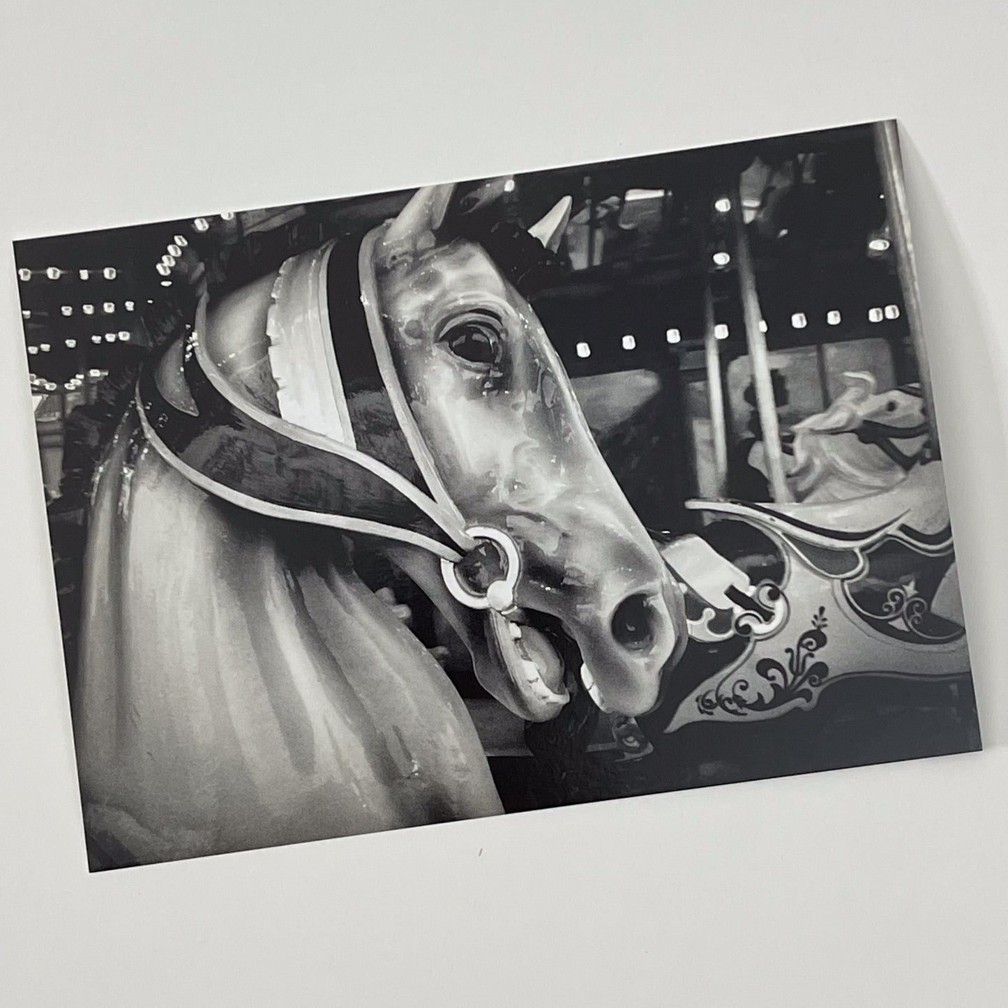Allentown Carousel Horse Postcard