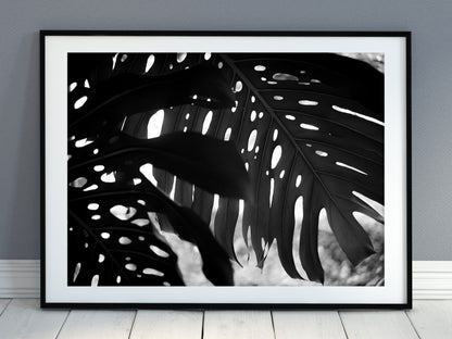 Monstera Leaves Silhouette Print